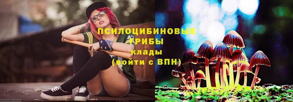 дурь Белокуриха