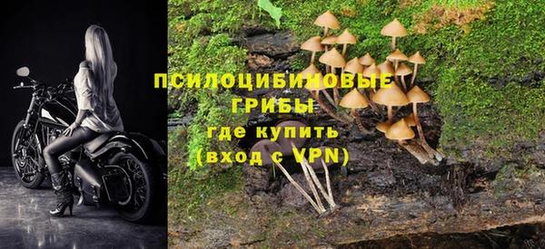твердый Артём