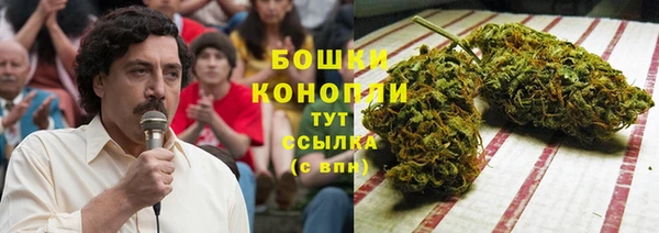 дурь Белокуриха