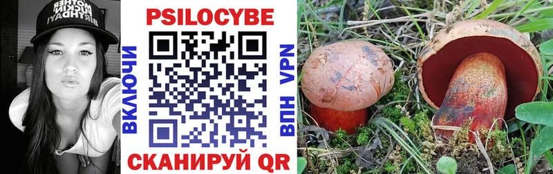 Псилоцибиновые грибы ЛСД  Болохово 